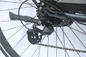 دوچرخه برقی قابل حمل 12 اینچ تایر چربی برای 350 پوند 400 پوند برای نفر دوچرخه 200 واتی E