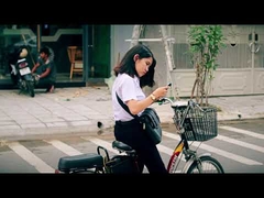 دوچرخه برقی خاکی شهری 250 واتی کم هزینه 48 ولتی ال سی دی دوچرخه برقی 20 اینچی 36 ولتی