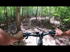 موتور توپی تایر چربی 250 واتی 750 واتی انبار دوچرخه برقی 29 در چین